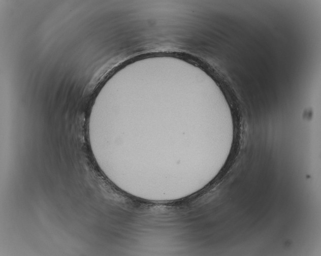 X0000112161265200909181439