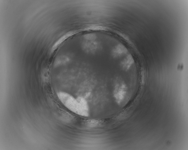 X0000112161266200909181439