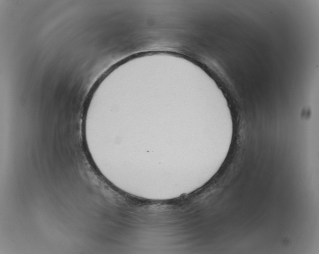 X0000112161268200909181439