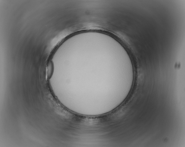 X0000112161269200909181439
