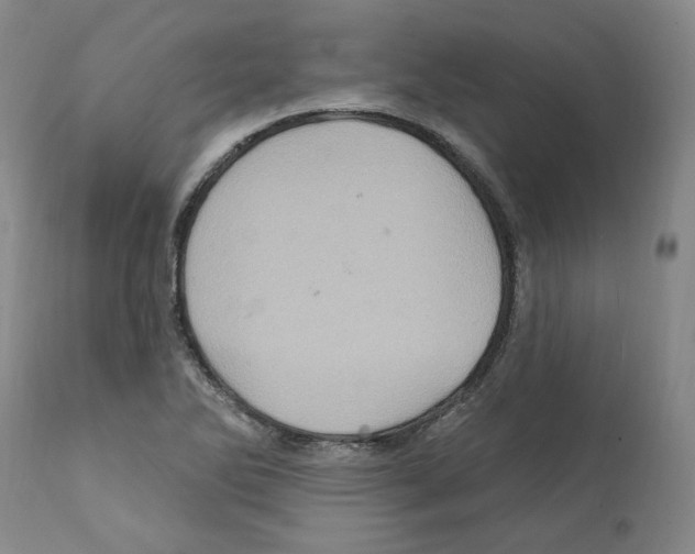 X0000112161270200909181439