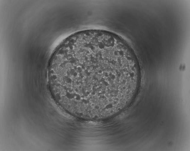 X0000112161271200909181439