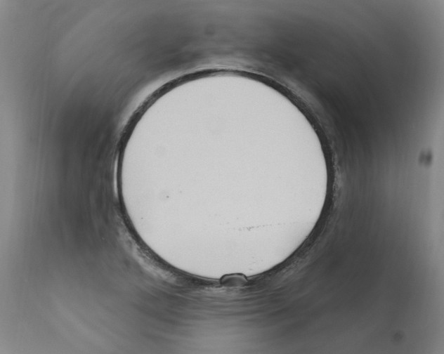 X0000112161272200909181439
