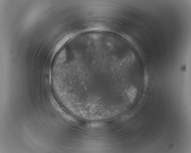 X0000112161274200909181439