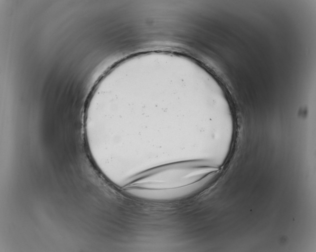 X0000112161275200909181439