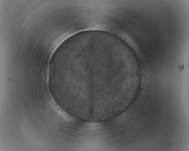 X0000112161276200909181439