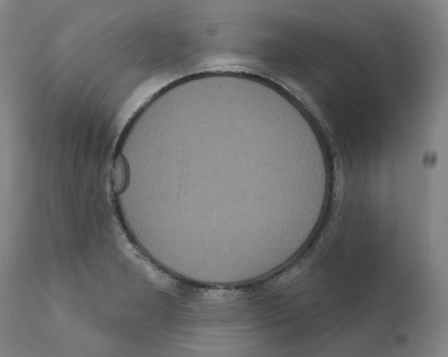 X0000112161277200909181439