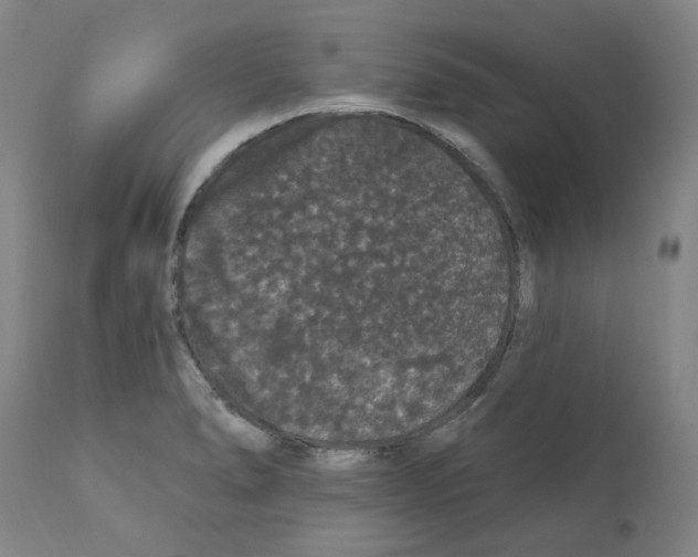 X0000112161278200909181439