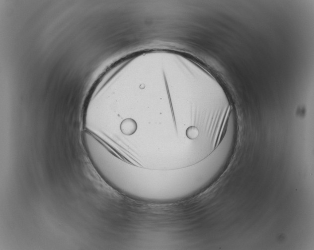 X0000112161280200909181439