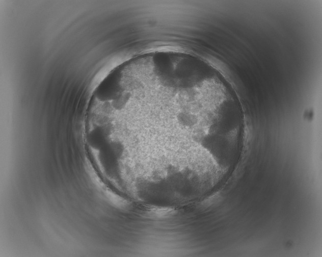 X0000112161282200909181439