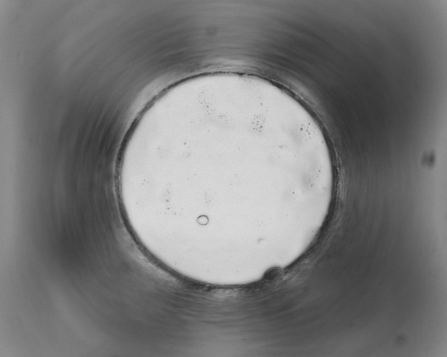 X0000112161283200909181439