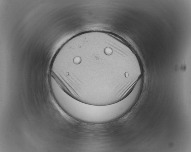 X0000112161285200909181439