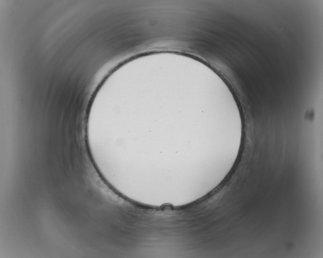 X0000112161288200909181438