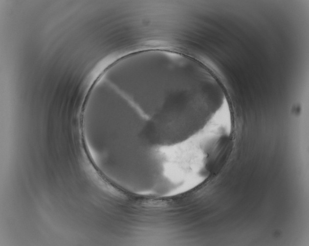 X0000112161291200909181438