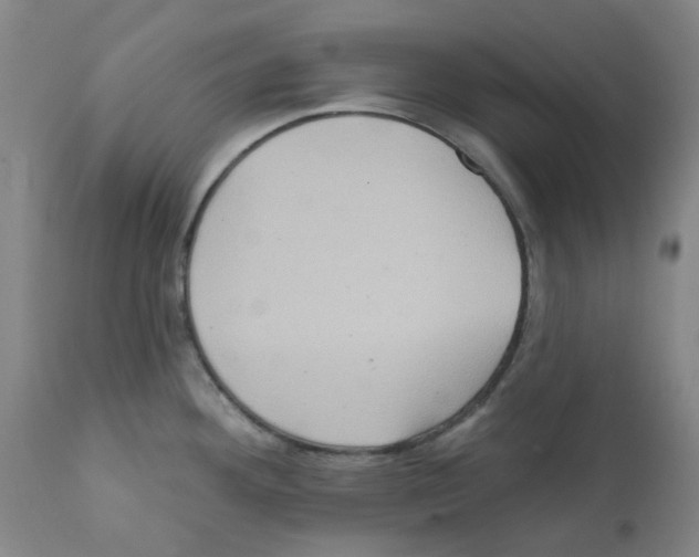 X0000112161292200909181438