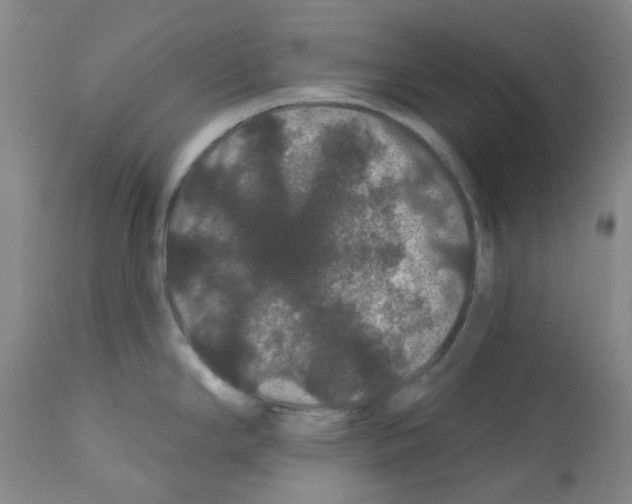 X0000112161294200909181438