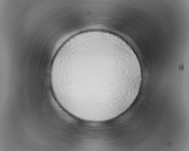X0000112161295200909181438