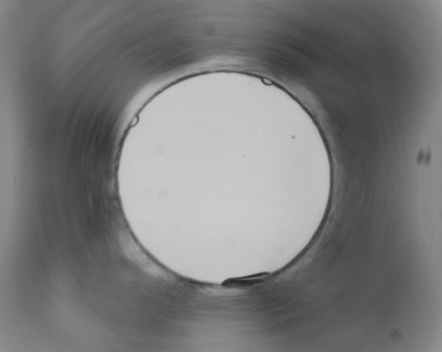 X0000112161296200909181438