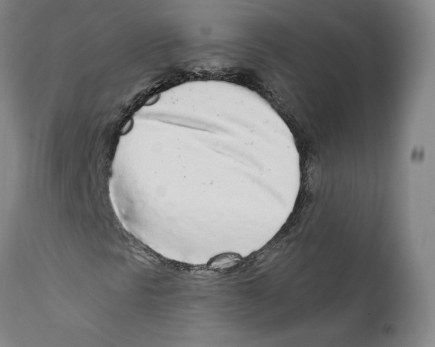 X0000112161297200909181438