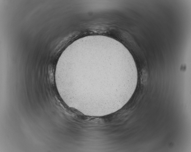 X0000112161298200909181438