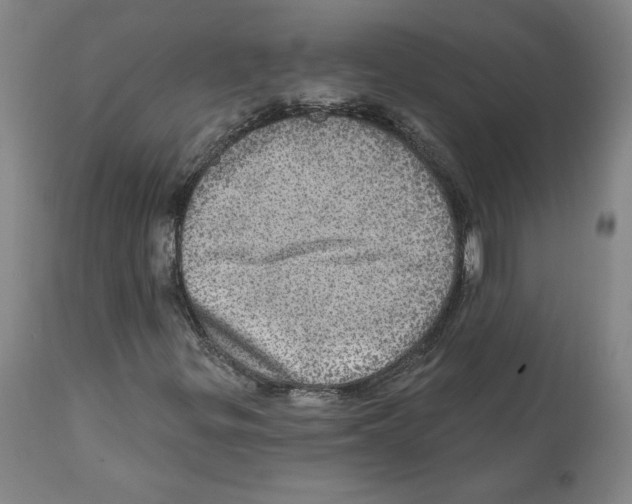 X0000112161299200909181438