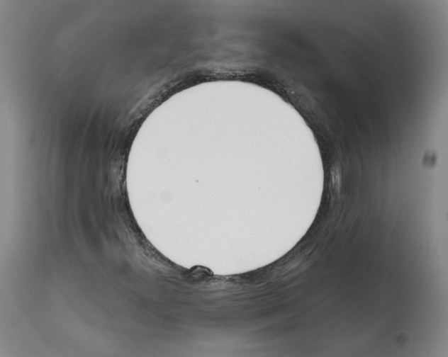 X0000112161300200909181438