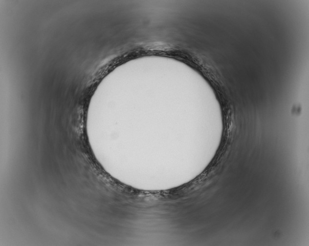 X0000112161301200909181438