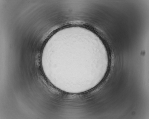 X0000112161305200909181438