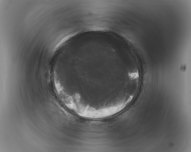 X0000112161306200909181438