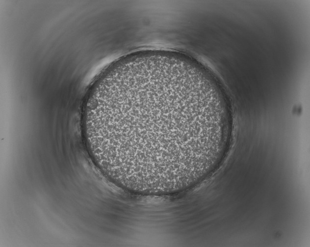 X0000112161307200909181438