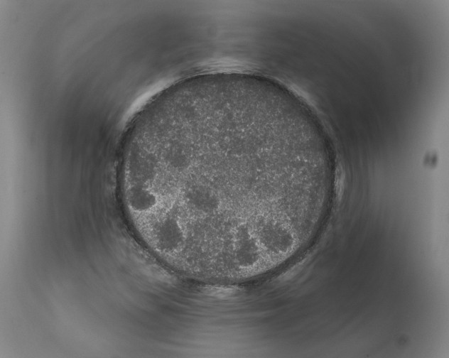 X0000112161309200909181438