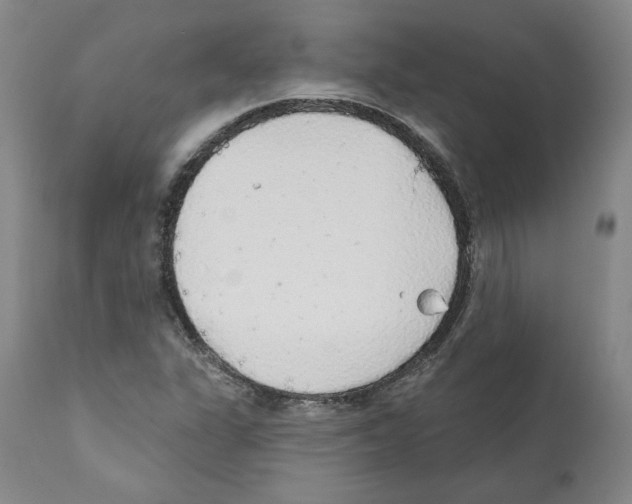 X0000112161311200909181438