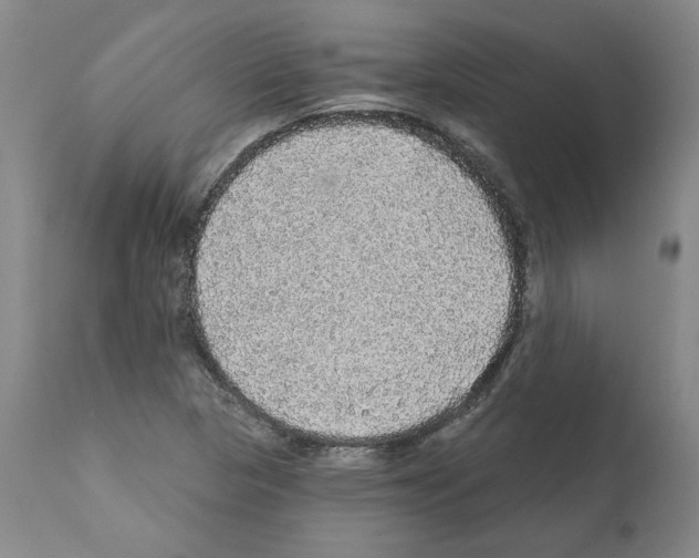 X0000112161313200909181438