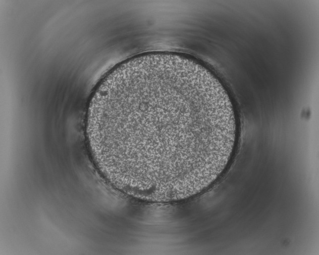 X0000112161314200909181438
