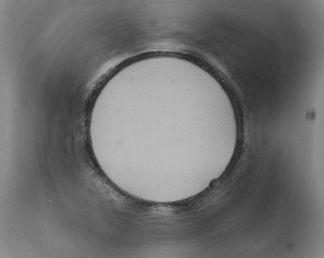X0000112161315200909181438