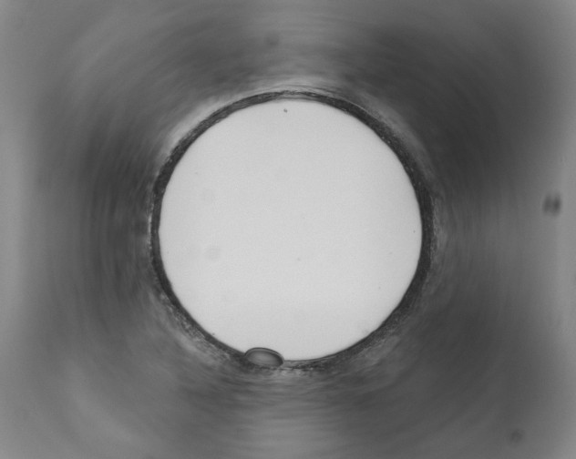 X0000112161316200909181438