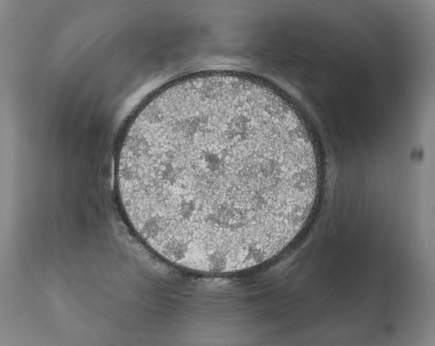 X0000112161317200909181438