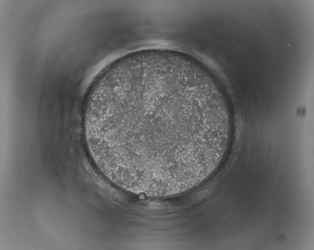 X0000112161318200909181438