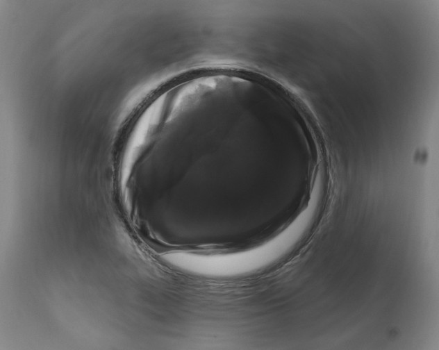 X0000112161319200909181438
