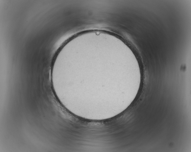 X0000112161320200909181438