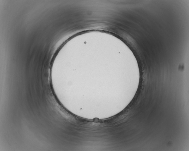 X0000112161324200909181438