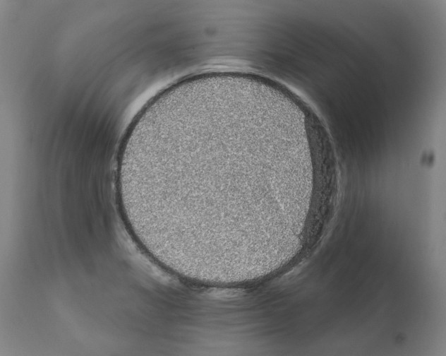 X0000112161325200909181438