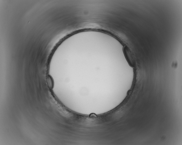 X0000112161326200909181438
