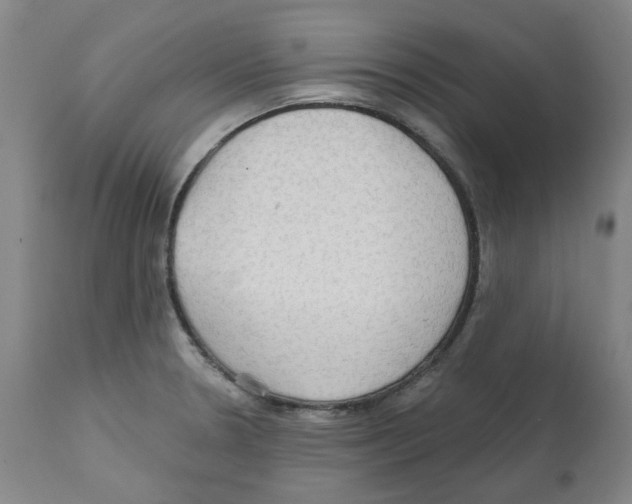 X0000112161330200909181438