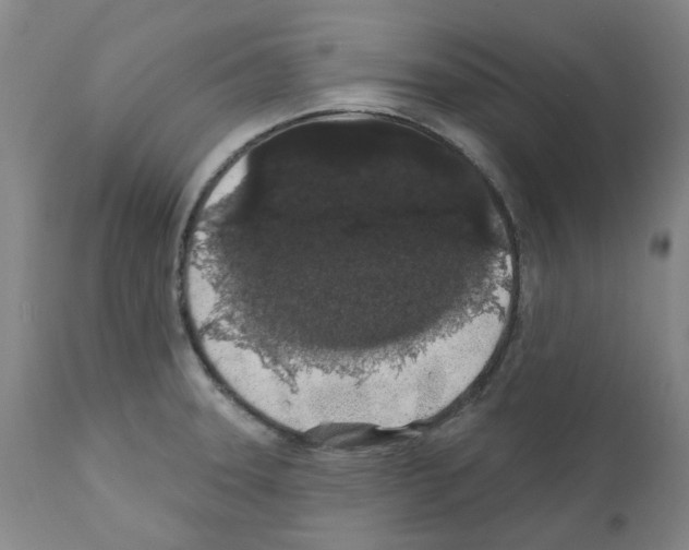 X0000112161331200909181438