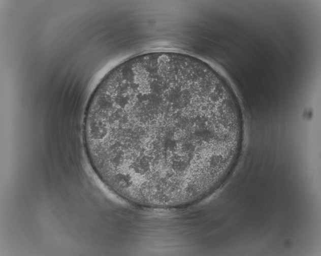 X0000112161333200909181438