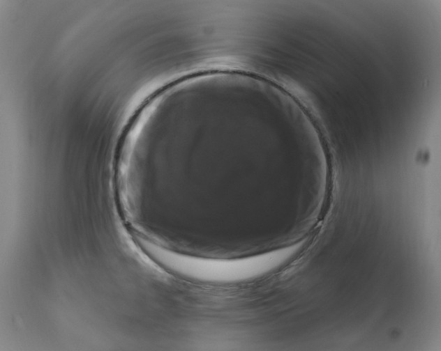 X0000112161334200909181438