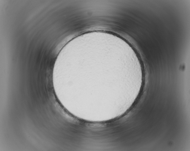 X0000112161337200909181438