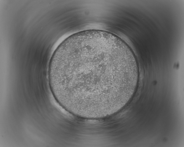 X0000112161339200909181438