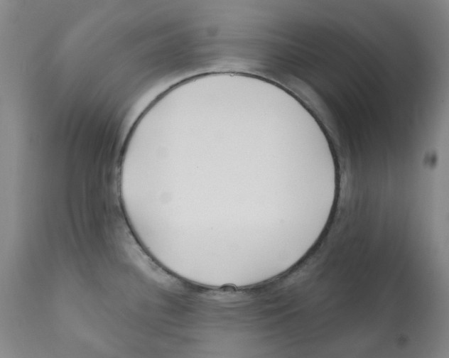 X0000112161340200909181438